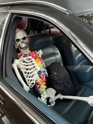 Hearse Ghost Tours by null