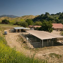 Aliso Ranch Stables