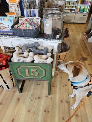 Noe Valley Pet Company by null