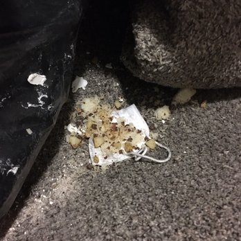 JC Construction & Remodeling - Crew's food waste left in condo hallway for over a week - General Contractors Near Me - Sacramento, California JC Construction & Remodeling - Crew's food waste left in condo hallway for over a week - General Contractors Near Me - Sacramento, California