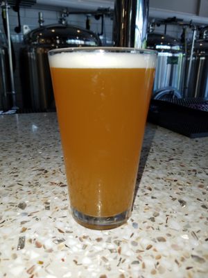 Porter Brewery Pizza by null