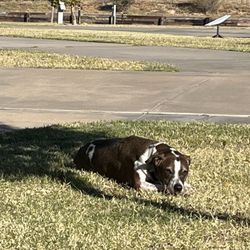 Hanks Trail RV Park - Spots and utilities