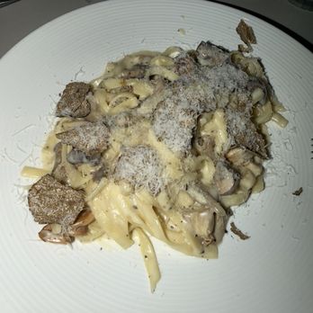 The Amalfi Llama - Truffle Tagliatelle - New American Near Me - Miami, Florida