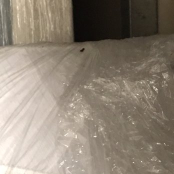 Public Storage - More rat droppings on my mattress. - Self Storage Near Me - Pasadena, California