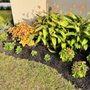 Fort Lauderdale Landscaping