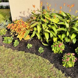 Fort Lauderdale Landscaping - Great looking flower bed.