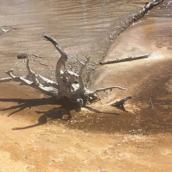 Yellowstone Scenic Tours - Sulfur pools - Tours Near Me