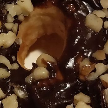 Shipley Do-Nuts - Chocolate with walnuts - Donuts Near Me - San Antonio, Texas Shipley Do-Nuts - Chocolate with walnuts - Donuts Near Me - San Antonio, Texas