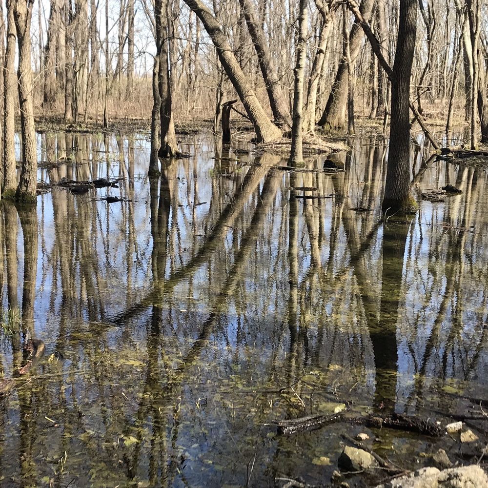 Salt Lick Trail - Wetlands - Hiking Near Me - Valmeyer, Illinois Salt Lick Trail - Wetlands - Hiking Near Me - Valmeyer, Illinois