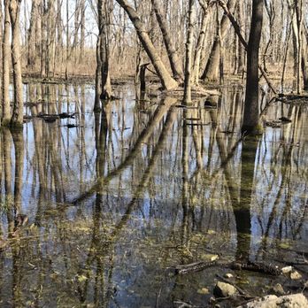 Salt Lick Trail - Wetlands - Hiking Near Me - Valmeyer, Illinois Salt Lick Trail - Wetlands - Hiking Near Me - Valmeyer, Illinois