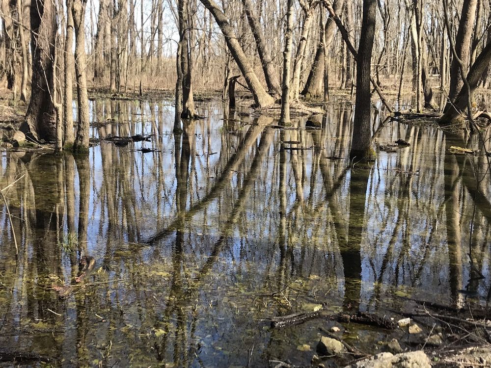 SALT LICK TRAIL 42 Photos & 11 Reviews 1309 Limestone Ln, Valmeyer