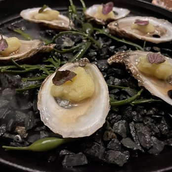 Stubborn Seed - Kusshi Oysters - New American Near Me - Miami Beach, Florida Stubborn Seed - Kusshi Oysters - New American Near Me - Miami Beach, Florida