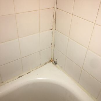 eaves Fair Lakes - Mold Bathroom - Apartments Near Me - Fairfax, Virginia