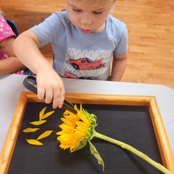 Caring Connection Children's Center - Fine motor skills, attention to detail, pincer muscles and concentration. Wowwww!