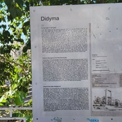 Didyma