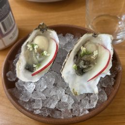oysters oysters