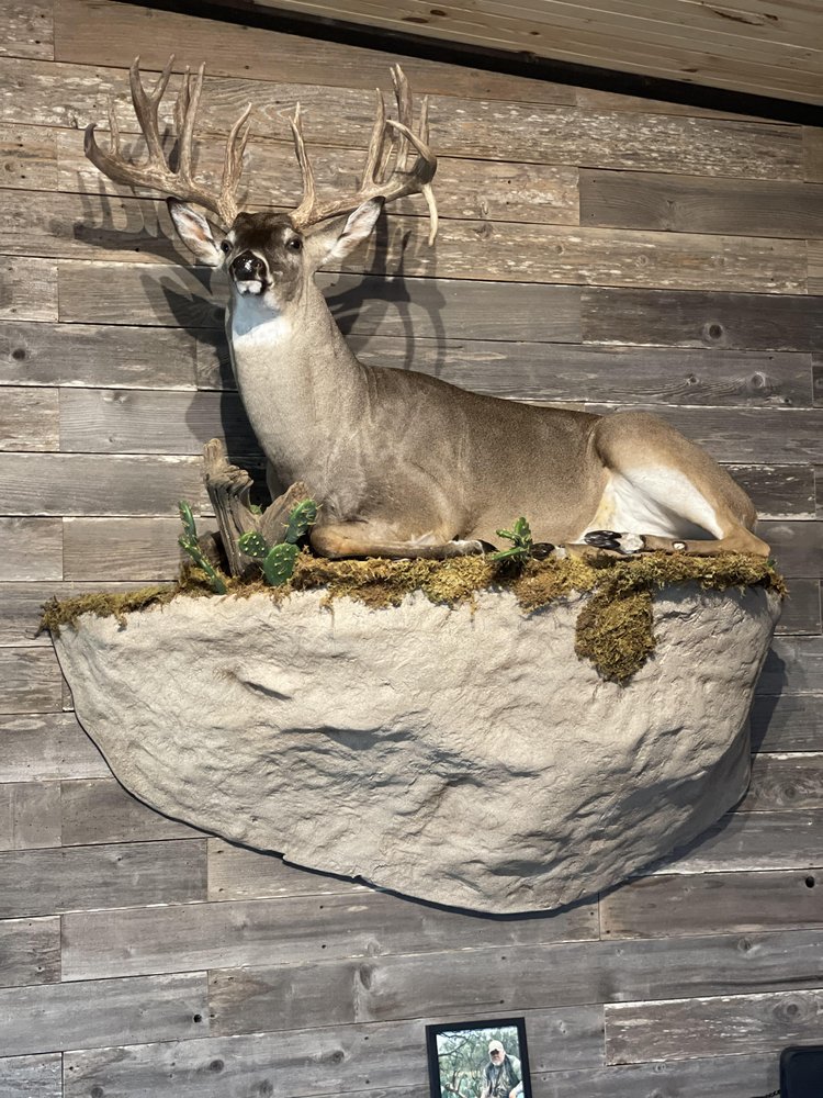 WallHanger Taxidermy - taxidermy in Baytown, TX