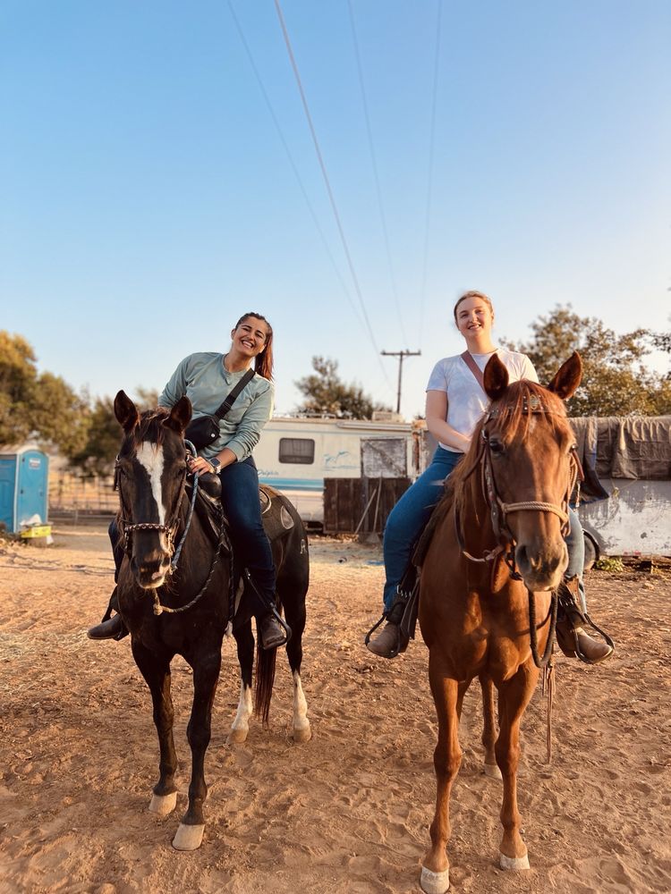 Surfside Ranch - equestrian in San Diego, CA