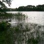 Photo of Flacher See