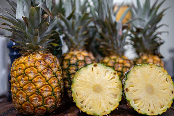 Maui Pineapple Tour by null