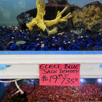 Fish-N-Pets Unlimited - Clearly posted prices - Pet Stores Near Me - Houston, Texas Fish-N-Pets Unlimited - Clearly posted prices - Pet Stores Near Me - Houston, Texas
