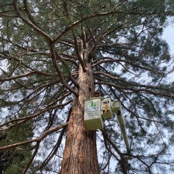 Sam's Tree & Landscape - Tree Services Near Me - Spokane, Washington Sam's Tree & Landscape - Tree Services Near Me - Spokane, Washington