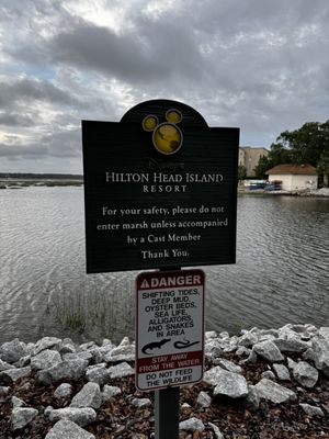 Disney’s Hilton Head Island Resort by null