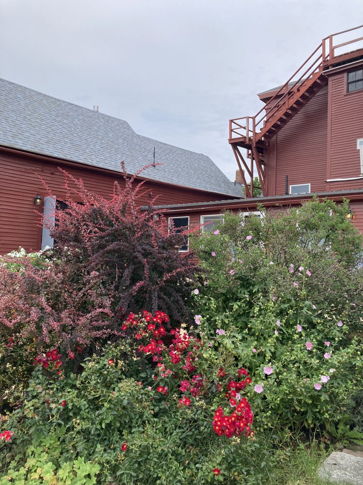 The Ark - The inn and restaurant out back - salads, outside - Seafood Near Me - Deer Isle, Maine The Ark - The inn and restaurant out back - salads, outside - Seafood Near Me - Deer Isle, Maine
