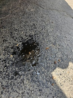 Habanero Mexican Grill by null