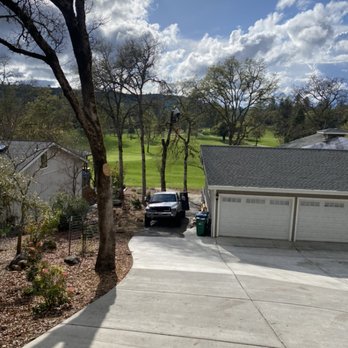 All Tree Service - Oak limb ups and removals - Tree Services Near Me All Tree Service - Oak limb ups and removals - Tree Services Near Me
