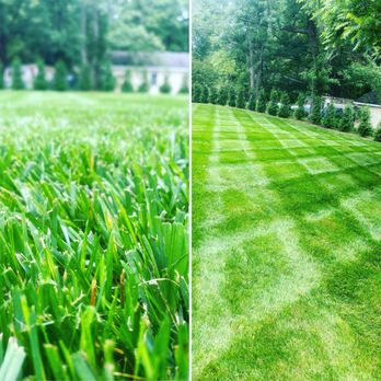Brothers Landscaping - Landscape maintenance - Gardeners Near Me Brothers Landscaping - Landscape maintenance - Gardeners Near Me