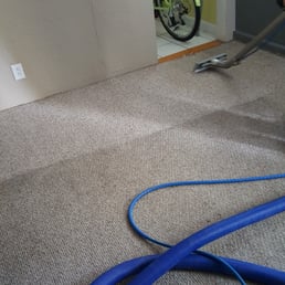 See that horrifying line of dirt? Who knew my carpets weren't gray? My inner clean freak is so thankful right now. See that horrifying line of dirt? Who knew my carpets weren't gray? My inner clean freak is so thankful right now.