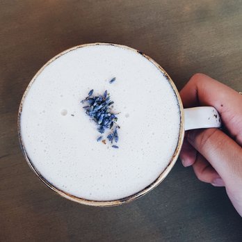 The Moth Cafe - Lavender Sage peppermint tea latte with soy milk - Vegan Near Me - Edmonton, Alberta The Moth Cafe - Lavender Sage peppermint tea latte with soy milk - Vegan Near Me - Edmonton, Alberta