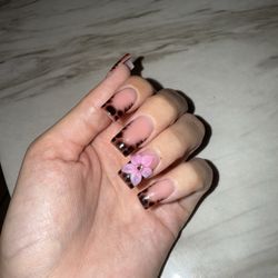 Sealight Nail Spa - My nails