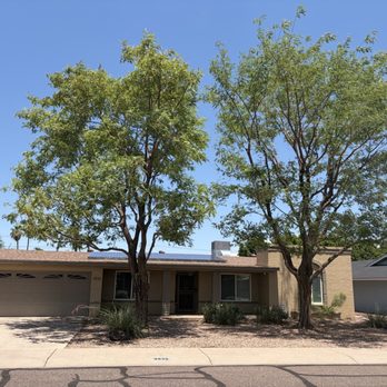Trees For Needs - After trimming - Tree Services Near Me - Phoenix, Arizona Trees For Needs - After trimming - Tree Services Near Me - Phoenix, Arizona