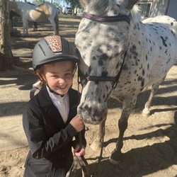 Rhinestone Stables - Sweet horses!