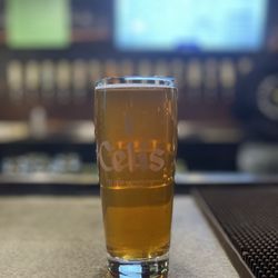 Celis Brewery - Drink