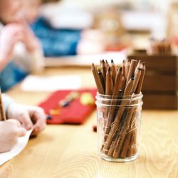 Olympia Waldorf School - From pre-k to 5th grade students engage in hands on learning without screens. Middle school classes incorporate minimal screen use.