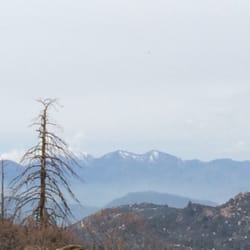 Cabin Oasis - Hiking trail views!