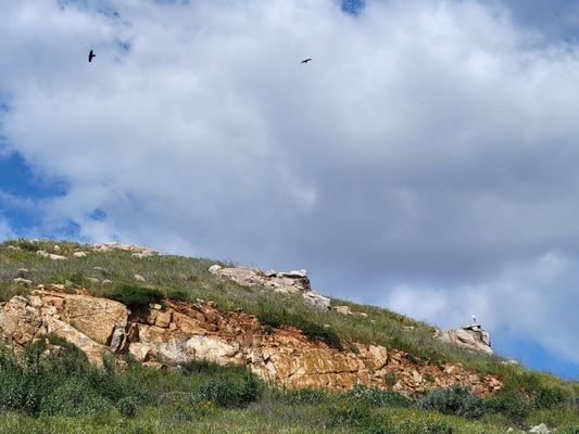 Sycamore Canyon Wilderness Park by null