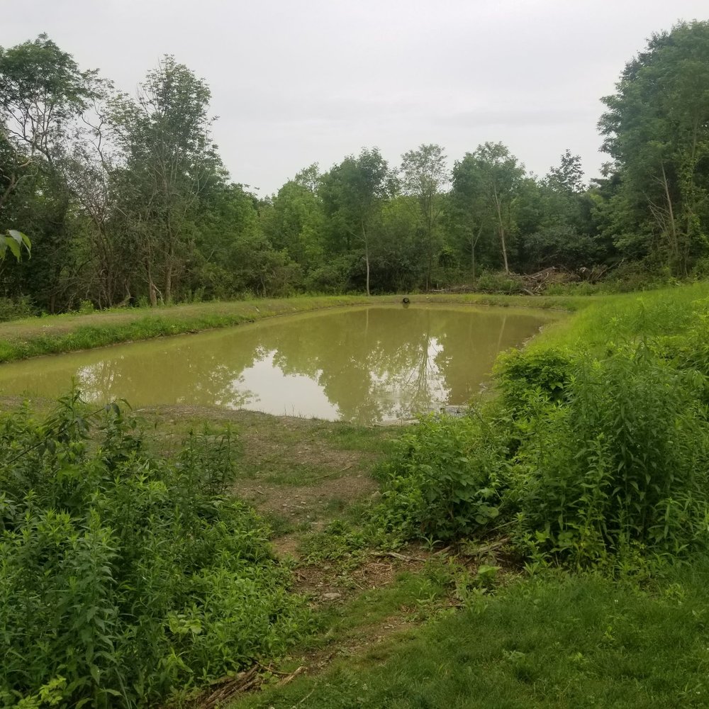 Seneca Sol - Newly built pond - Wine Tours Near Me - Burdett, New York Seneca Sol - Newly built pond - Wine Tours Near Me - Burdett, New York