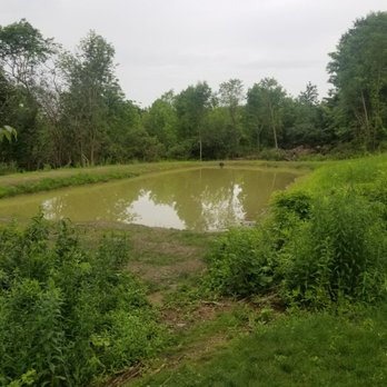 Seneca Sol - Newly built pond - Wine Tours Near Me - Burdett, New York