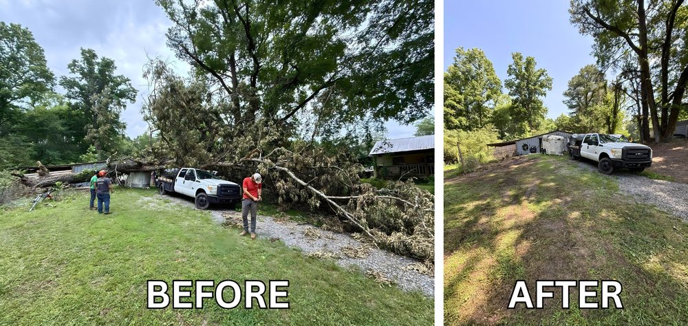 Harris Tree Service - tree service in Springville, AL