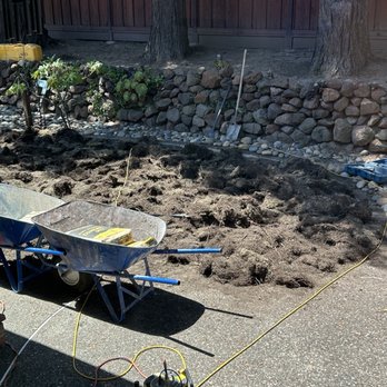 MsGardening - Landscaping Near Me - San Jose, California MsGardening - Landscaping Near Me - San Jose, California
