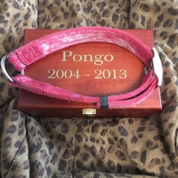 Paws & Remember of Nebraska - Pongo's urn and collar