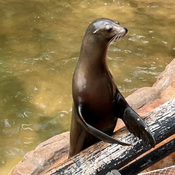 Jungle Park - Zoos Near Me - Arona, TF