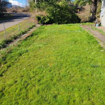 Deep Dive Lawn - a view of a yard with a chain link fence - Lawn Services Near Me Deep Dive Lawn - a view of a yard with a chain link fence - Lawn Services Near Me