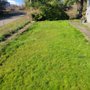 Photo of Deep Dive Lawn
