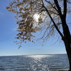 Sebago Lake State Park