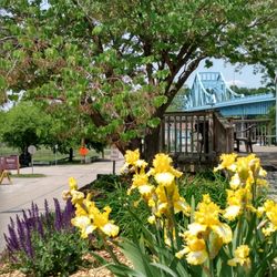 Little Boston Inn - Perennial flowers and the Boston Bridge